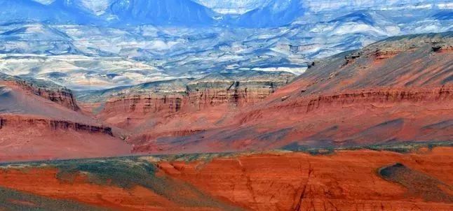 新疆托克逊火了！这里的杏花被全国人民盯上了！