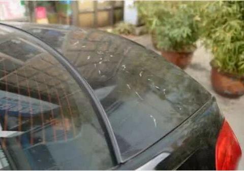 ​百万奔驰在停车场被人划成“大花猫”，物管：只能减免停车费