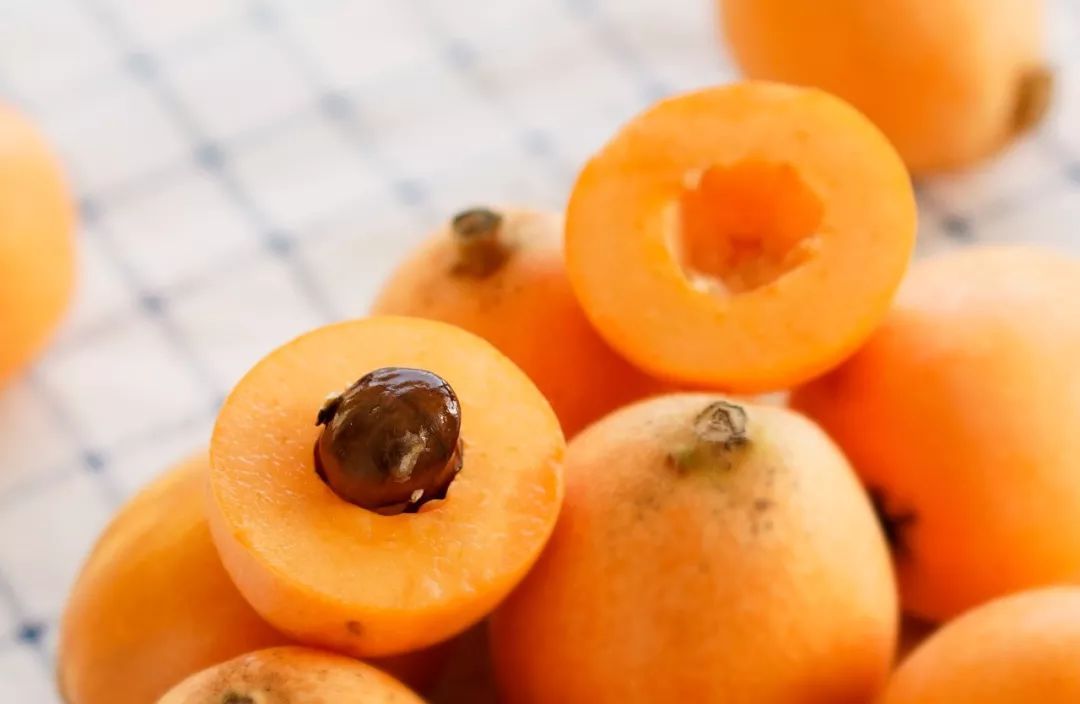 原来枇杷和琵琶真的有关系！| 好物推荐