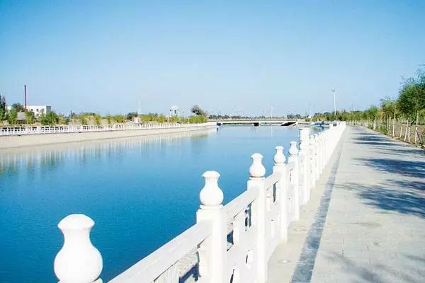 新疆托克逊火了！这里的杏花被全国人民盯上了！