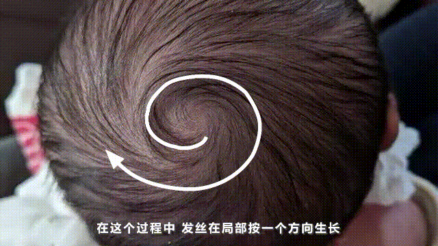 大西洋逆时针漩涡真相 地球磁场异常原因