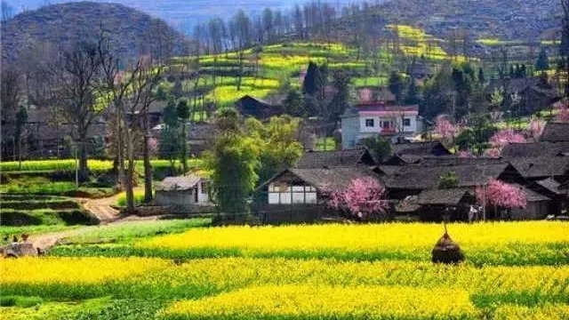 房产快讯：湖州有哪些不正规的场所与服务