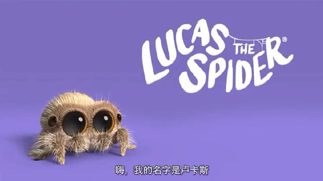 敲可爱的小蜘蛛lucas2019合集!