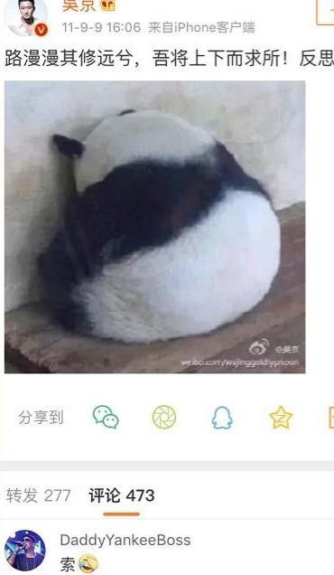 当网友在黑吴京时，到底在黑什么？