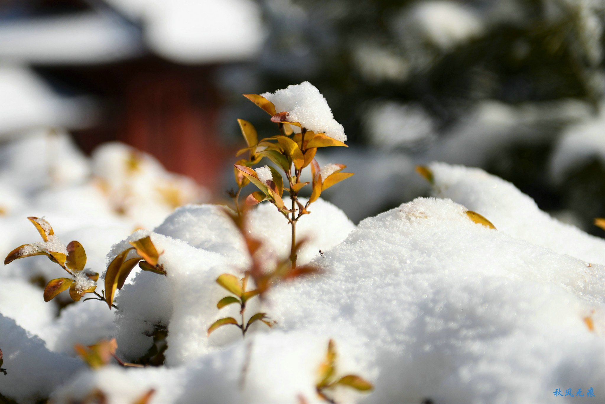 冬雪后去镇安塔云山，一览三面悬崖的五百年道观