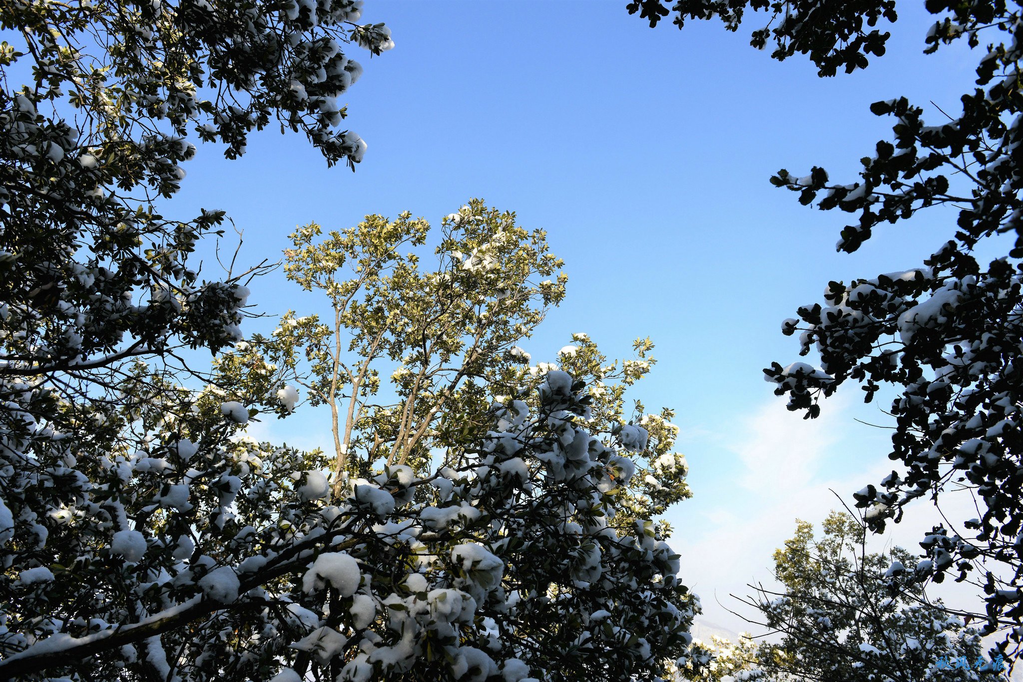 冬雪后去镇安塔云山，一览三面悬崖的五百年道观