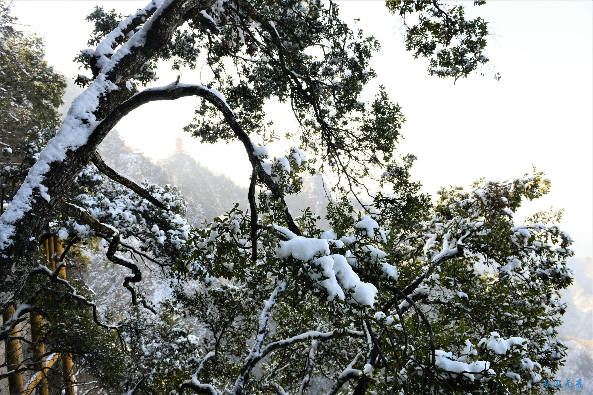 冬雪后去镇安塔云山，一览三面悬崖的五百年道观
