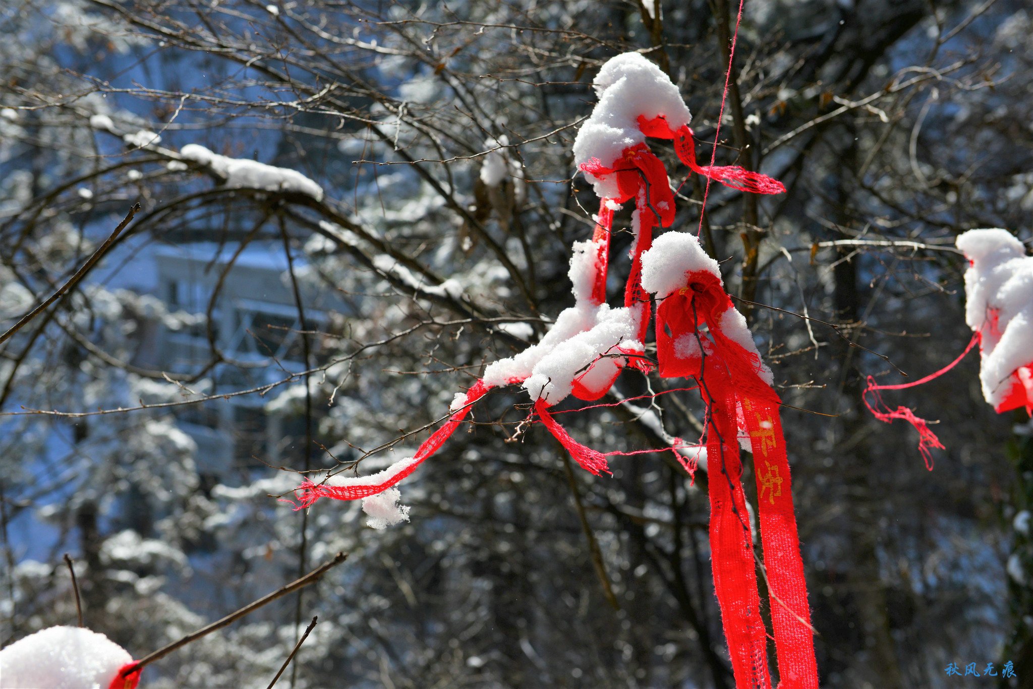冬雪后去镇安塔云山，一览三面悬崖的五百年道观