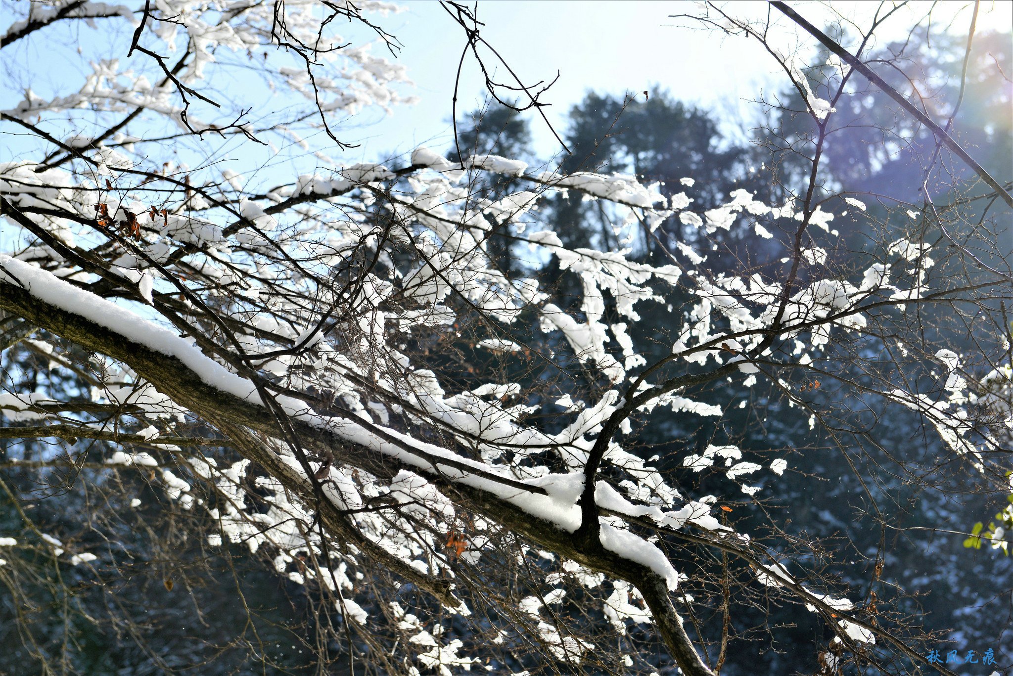 冬雪后去镇安塔云山，一览三面悬崖的五百年道观