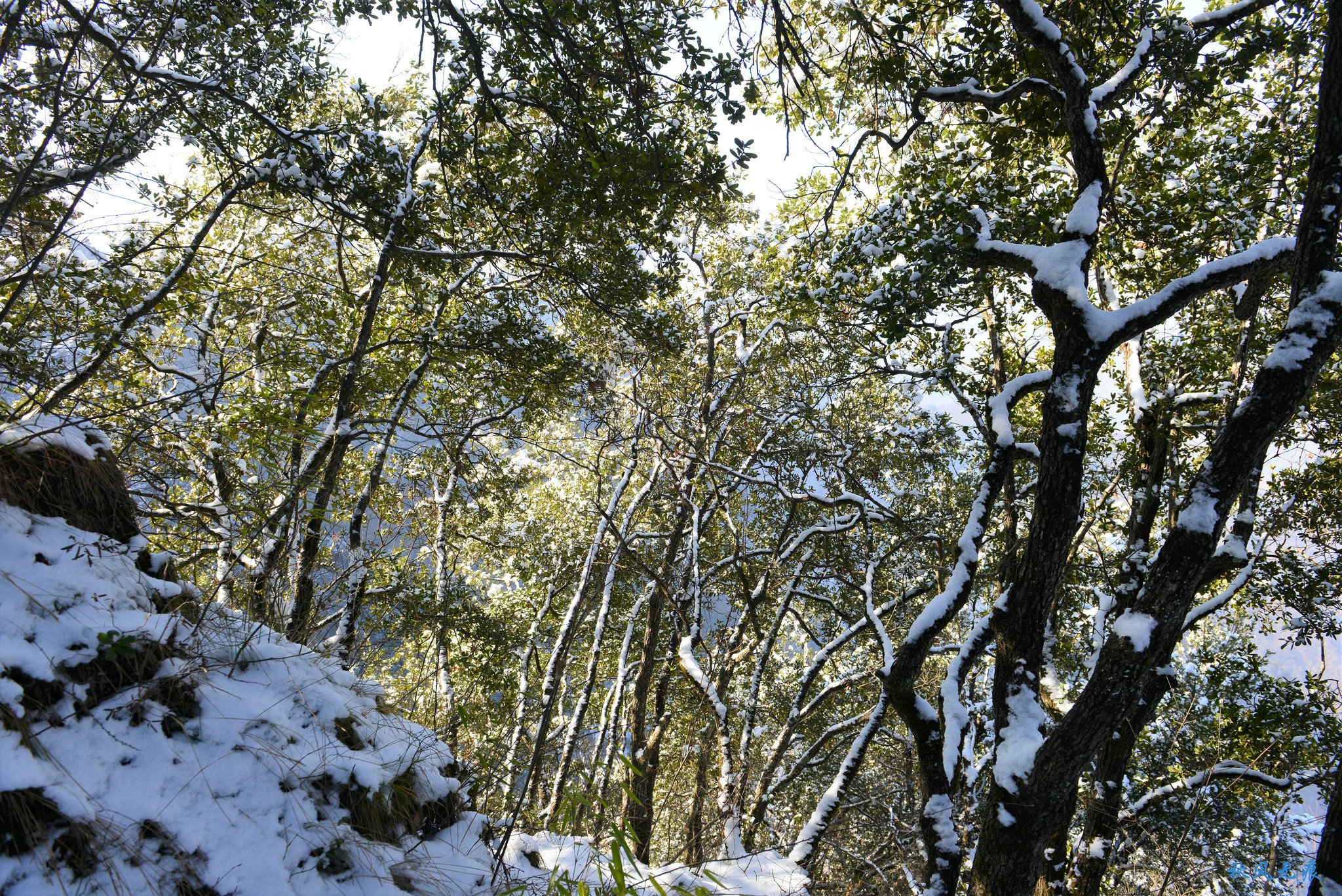 冬雪后去镇安塔云山，一览三面悬崖的五百年道观