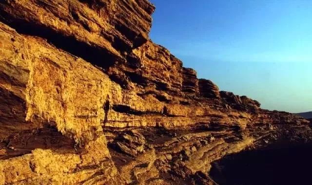 新疆托克逊火了！这里的杏花被全国人民盯上了！