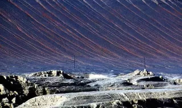 新疆托克逊火了！这里的杏花被全国人民盯上了！