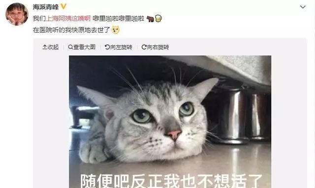 你永远穷不过一个上海人