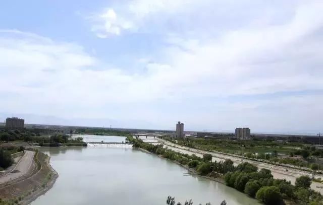 新疆托克逊火了！这里的杏花被全国人民盯上了！