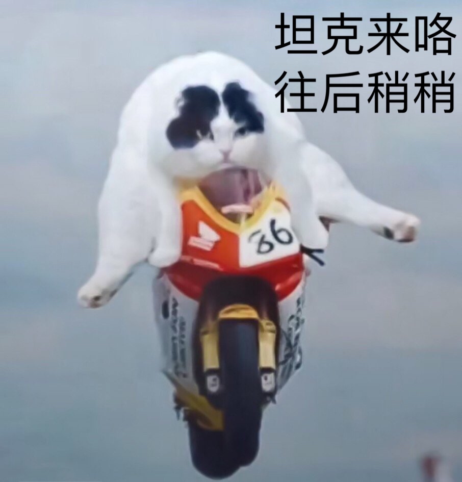 今天的表情包原图精选~吃饭了吗