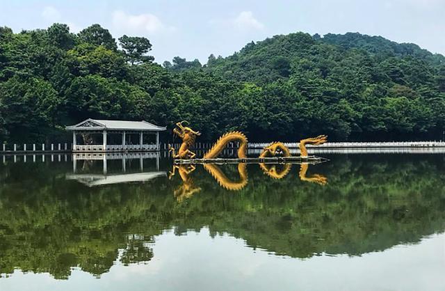 在西樵景区不能错过的就是要瞻仰高61.9米的南海观音像,再看看黄飞鸿电影里的无影脚和舞狮表演,都是蛮值得观赏。山上的南海观音像确实很大,相信在此的看的您视觉也会感到挺震撼的。所以节日假期闲暇无事不妨陪着家人小孩来此闲游观赏,顺便祈祷一下也挺不错的。而西樵山的绿化也是挺不错的,而这里划分为10景区,感觉每个景区的距离也是有点距离的。不过觉得大部分游客都集中在南海观音附近,或许许多人来西樵山主要是来此祈祷吧。