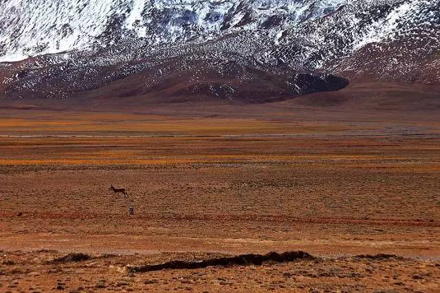 新疆这条公路翻越5000米高山成为“世界之最”！一生一定要去一次