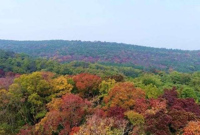 栖霞18岁学生一小时50元