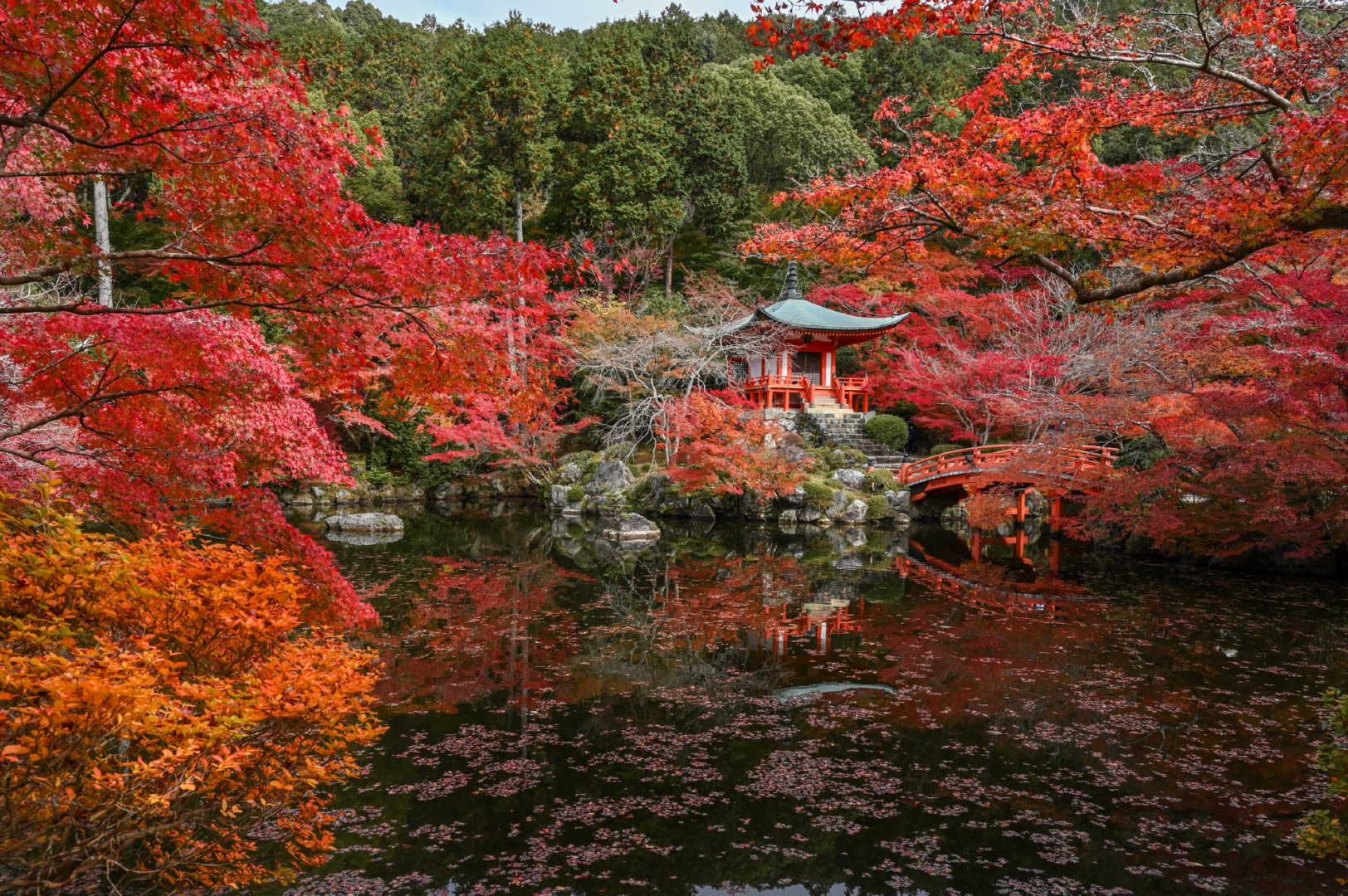 京都是一个古韵十足 极富和风的古都 这里完好地保存着众多古迹 古韵 京都 古都 新浪新闻