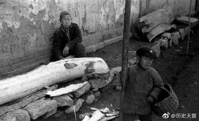 1942年,中国大饥荒,人在各种吃树皮.photo by 哈里森·福尔曼