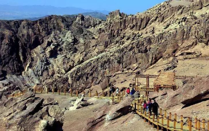 新疆托克逊火了！这里的杏花被全国人民盯上了！