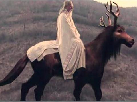 老人街上叫卖四不像神兽,自称是《封神榜》姜子牙坐骑,怎么回事