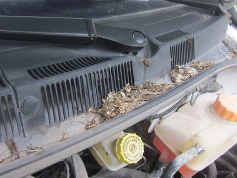 车上这几个孔不知道检查，车子再好都没用，毁车那是分分钟的事