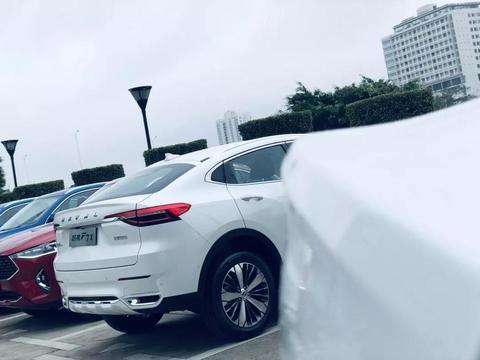 “哈弗“最新资讯都在这了，就等你来