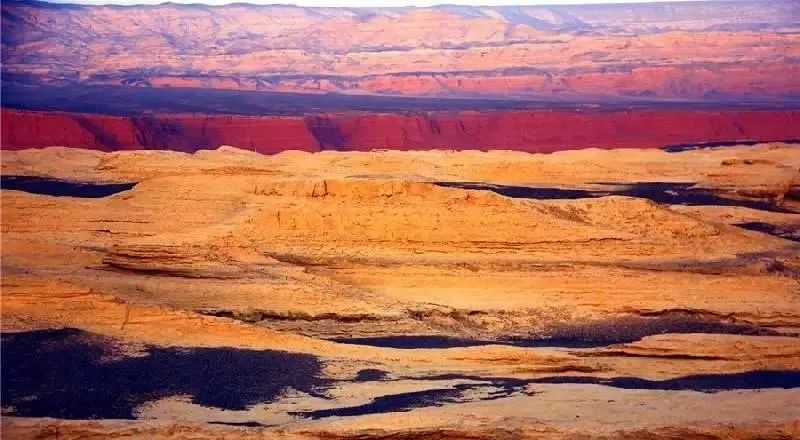 新疆托克逊火了！这里的杏花被全国人民盯上了！