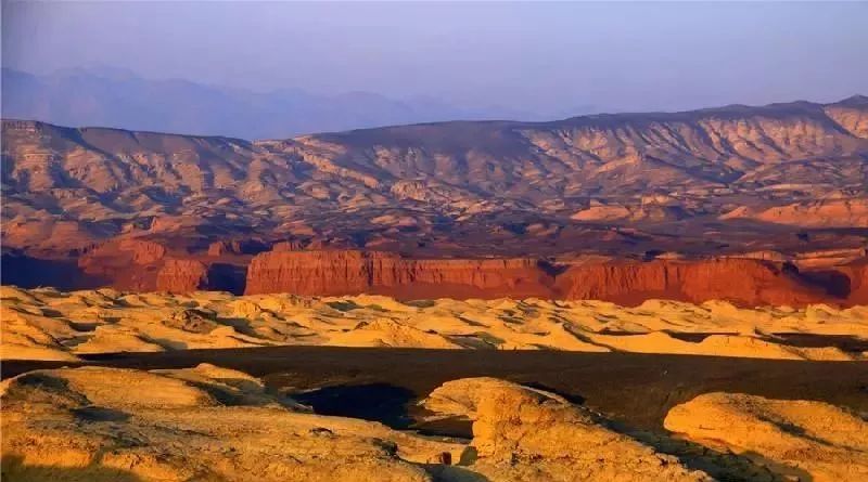 新疆托克逊火了！这里的杏花被全国人民盯上了！