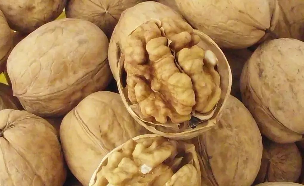 新疆托克逊火了！这里的杏花被全国人民盯上了！