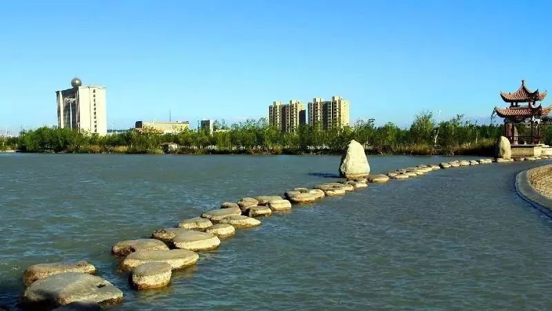 新疆托克逊火了！这里的杏花被全国人民盯上了！