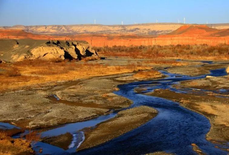 新疆托克逊火了！这里的杏花被全国人民盯上了！