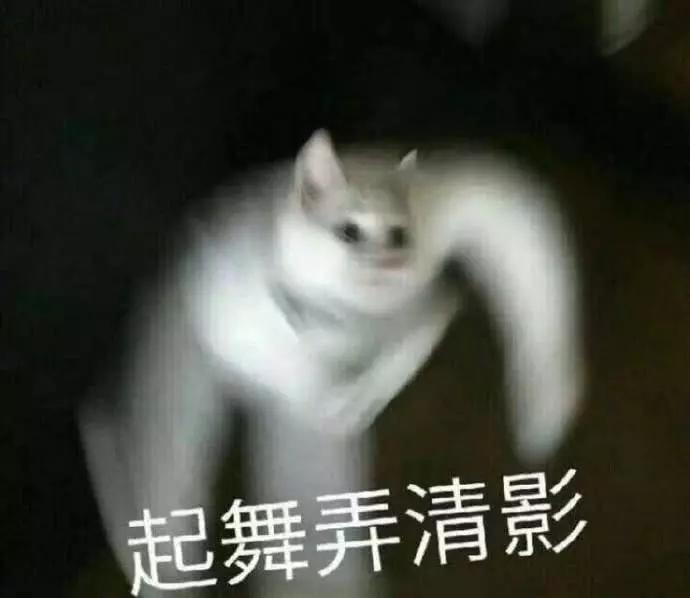 表情包:在干嘛?有点想你