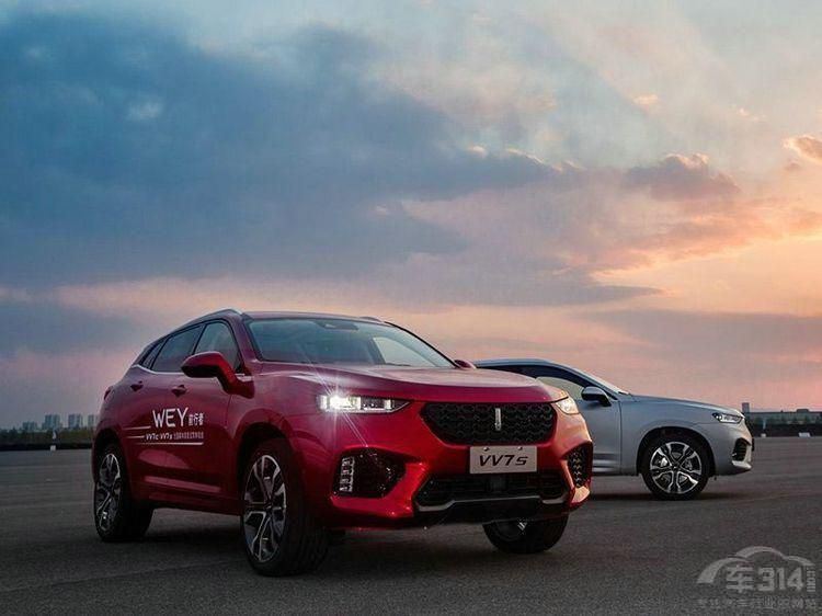 盘点2019年开门黑 这几个车企销量一个比一