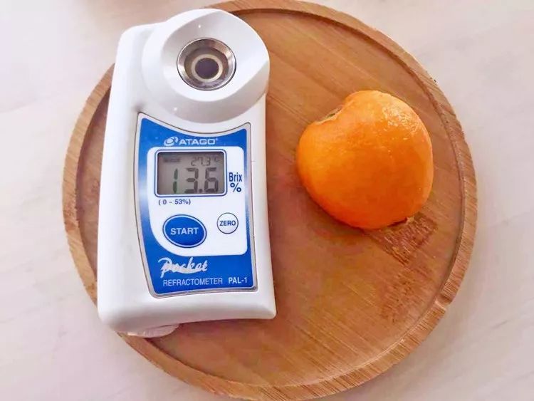 原来枇杷和琵琶真的有关系！| 好物推荐