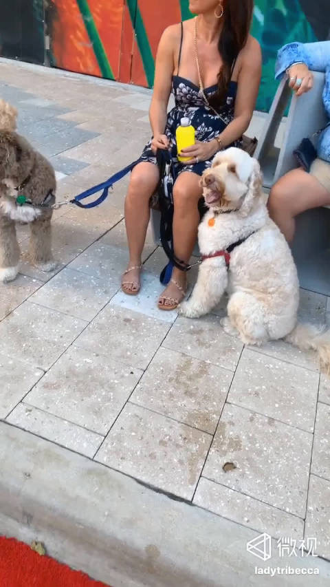 哥开着跑车带着妹扬长而去，大概买跑车就为了这种感觉