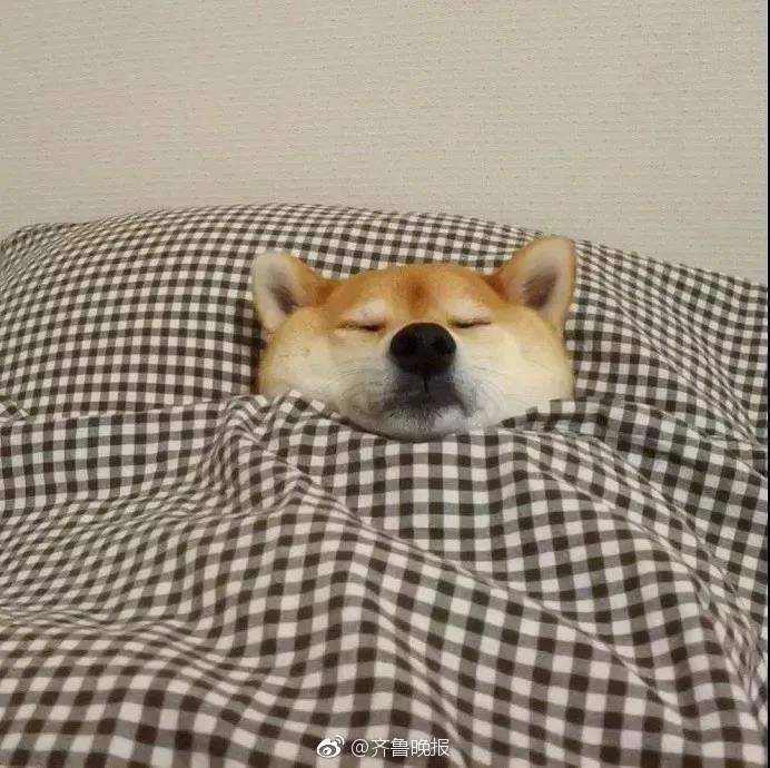 中国人平均睡眠时间9个小时