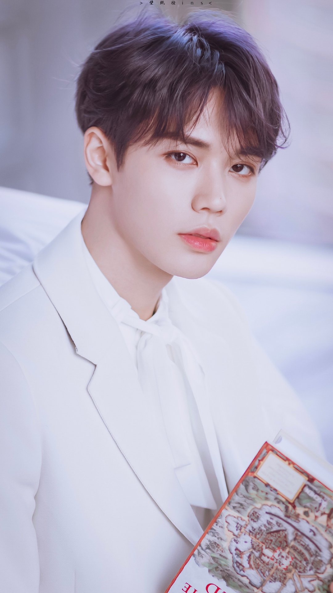 毕雯珺\/邢昭林\/罗云熙\/胡春杨林彦俊\/姚弛\/刘宇