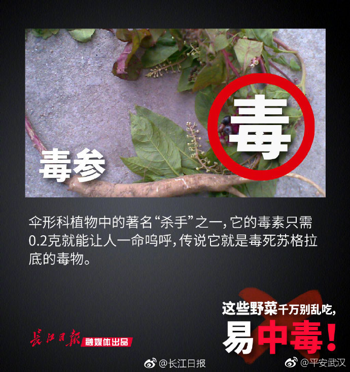 警惕！清明时节，这些野菜千万别乱吃，易中毒