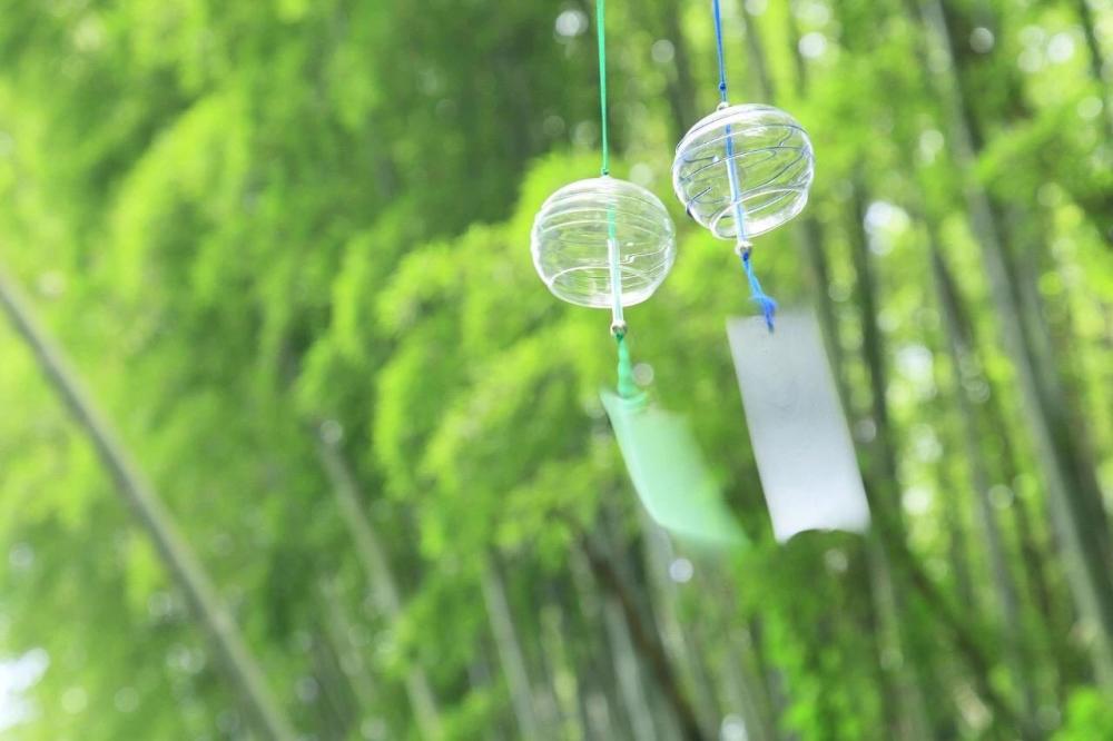 一生运气好,运能帮身的生肖 一生运气好,运能帮身的生肖