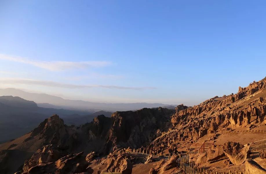 新疆托克逊火了！这里的杏花被全国人民盯上了！