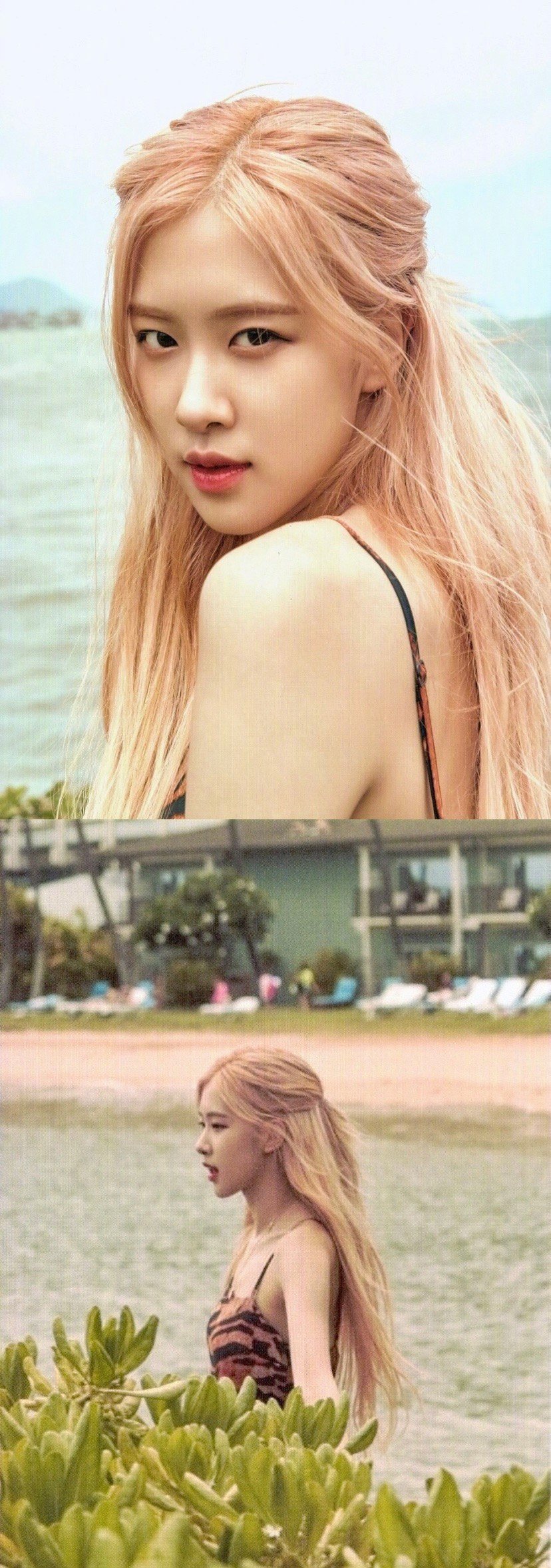 rose朴彩英澳洲野玫瑰夏威夷写真