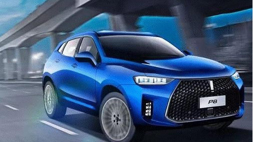 未来10年时间内，纯电动汽车和插电混动汽车谁会更受欢迎呢？