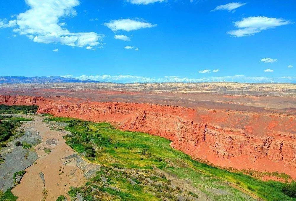 新疆托克逊火了！这里的杏花被全国人民盯上了！