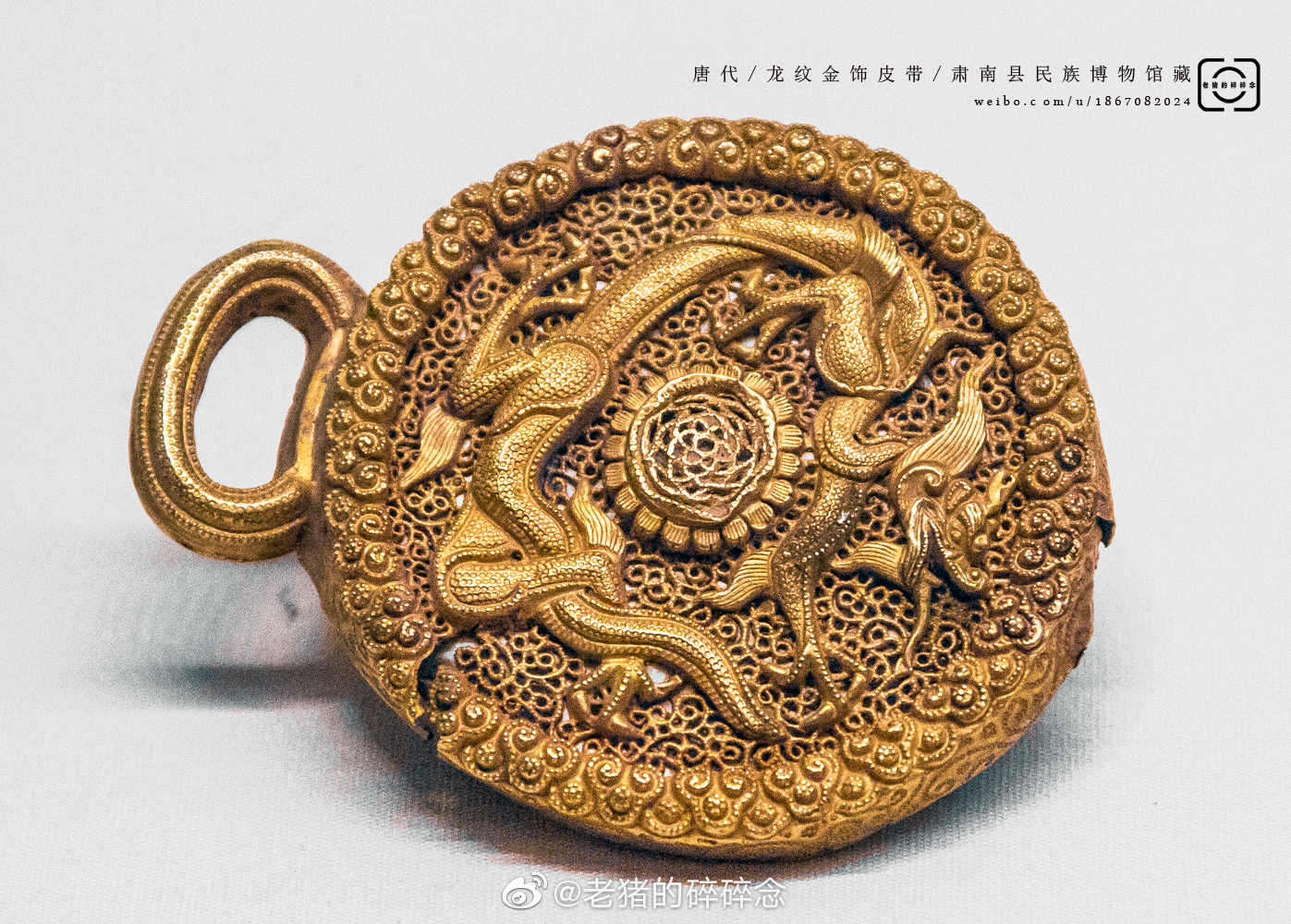 金腰带及圆形铜扣饰 - 文物鉴赏 - 李家山青铜器博物馆