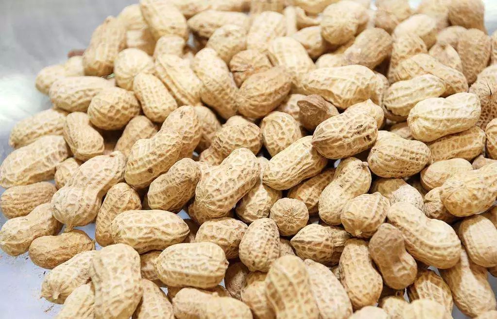 新疆托克逊火了！这里的杏花被全国人民盯上了！