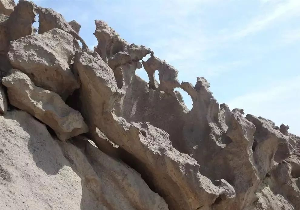 新疆托克逊火了！这里的杏花被全国人民盯上了！