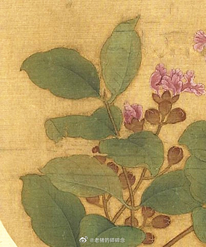 古画| 紫薇花图>南宋 卫升团扇绢本 台北故宫博物院藏_高清图集_新浪