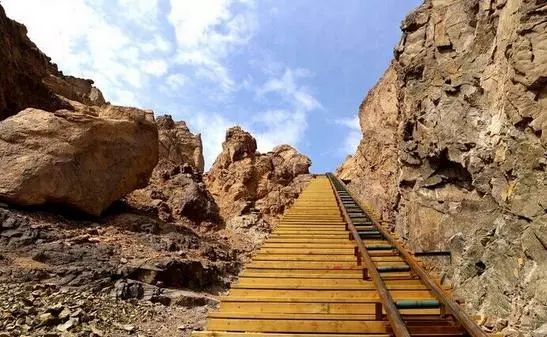 新疆托克逊火了！这里的杏花被全国人民盯上了！